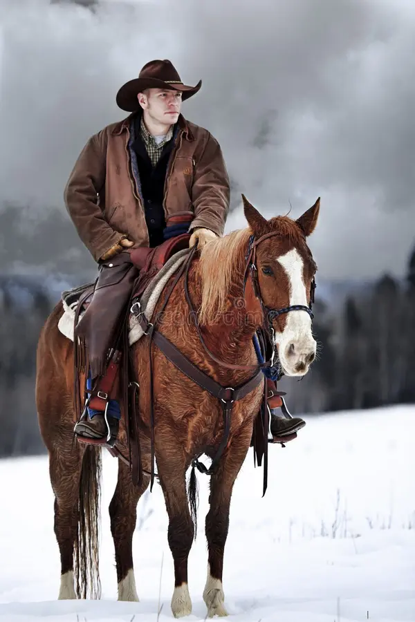 The Cowboy